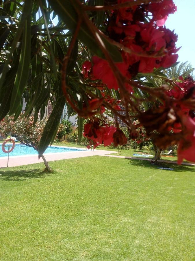 Studio Hannibal 1 Apartment Cala de Finestrat Luaran gambar